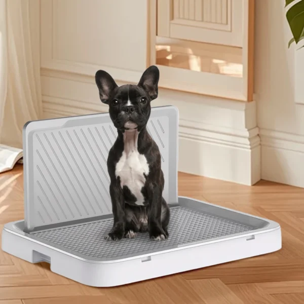 Dog Potty Tray with Pee Wall