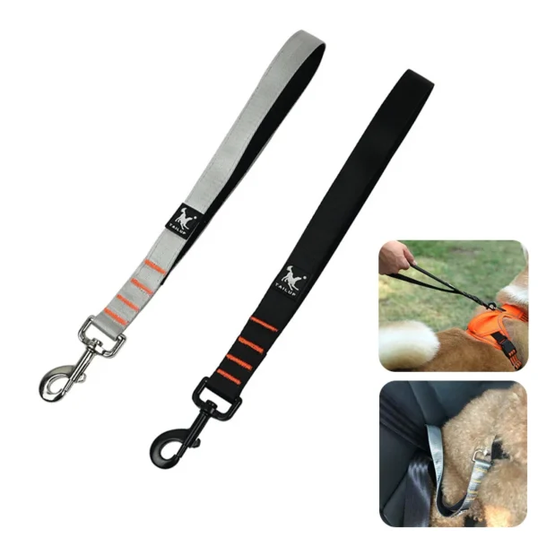 Short Dog Leash