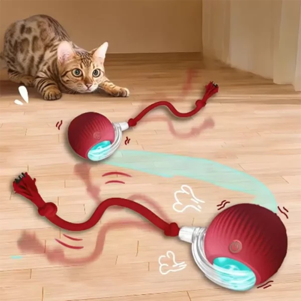 Interactive Self-Play Cat Toy